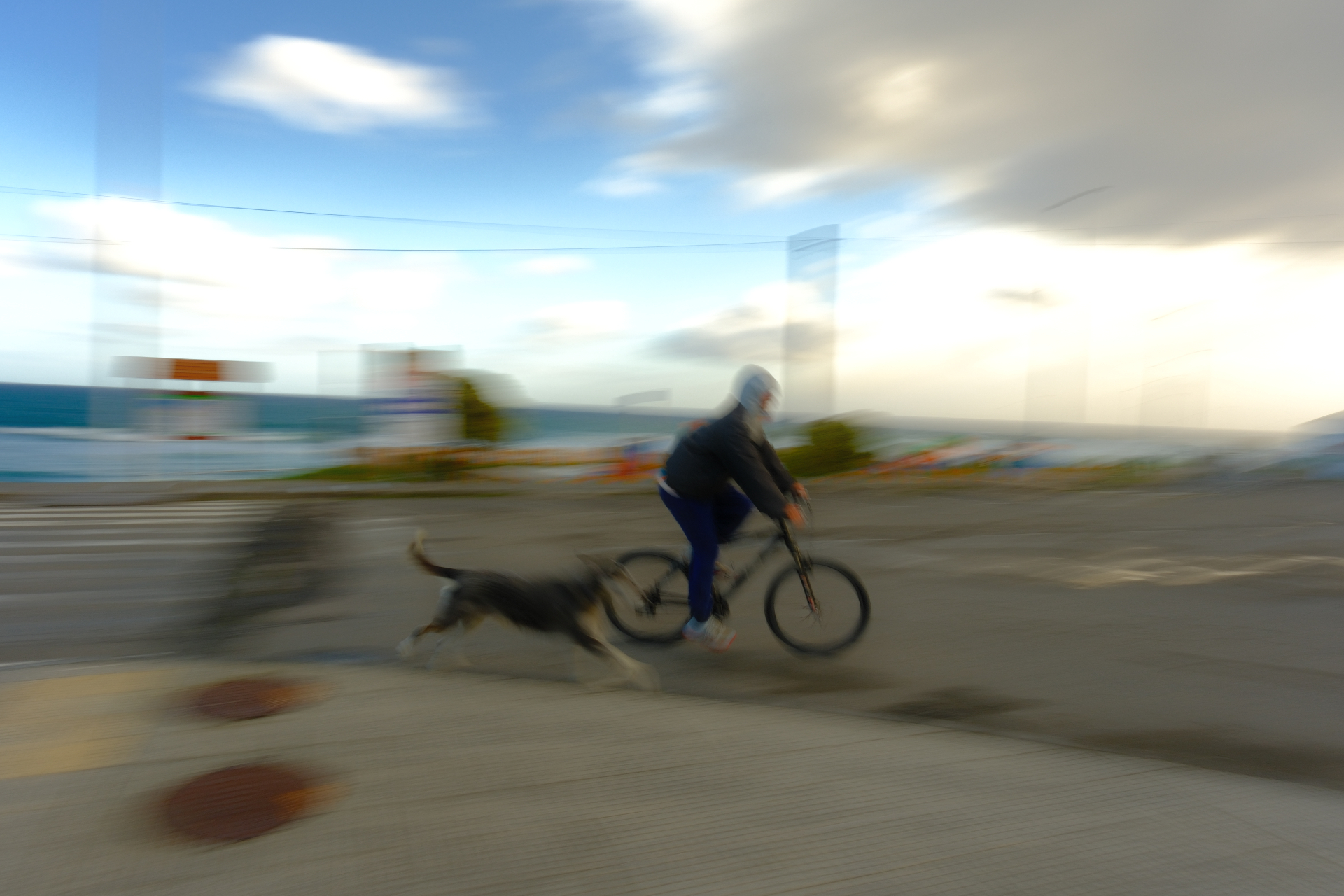 Cyclist and dog blurred in motion by the sea